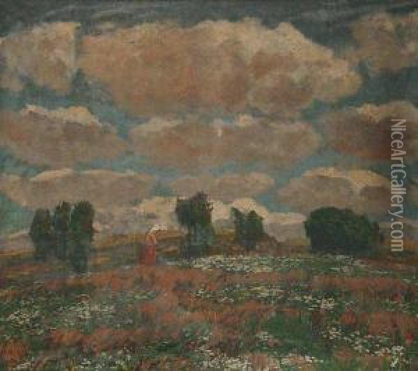 A Meadow In Flower Oil Painting - Antonin Hudecek
