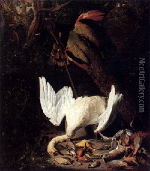 Still Life Of Dead Game, A Hung White Swan, A Peacock, And Other Birds All In A Landscape Oil Painting - Peter Gysels