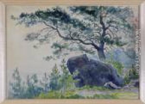 Landschaft Mit Baum Und Felsen Oil Painting - Aleksei Vasilievich Hanzen