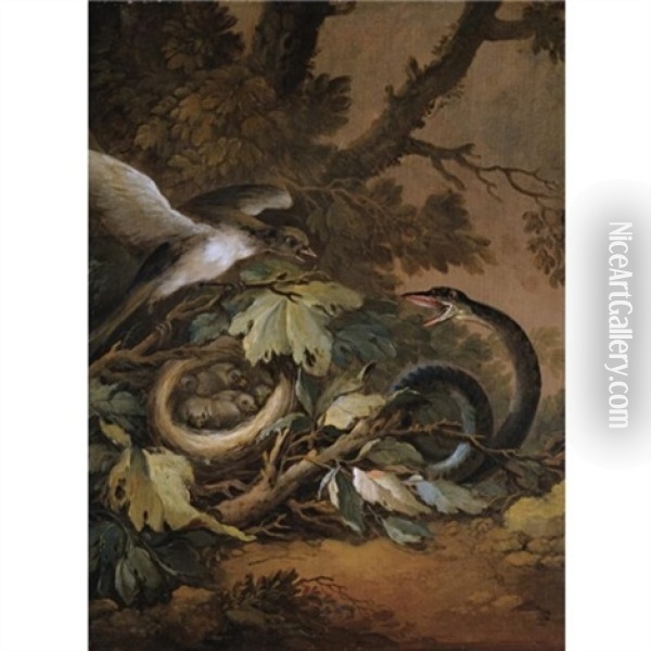 A Still Life With A Viper And A Bird's Nest Oil Painting - Christoph Ludwig Agricola
