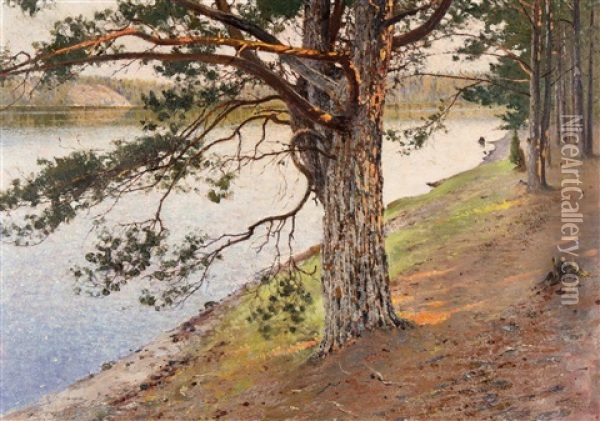 Sunset Oil Painting - August Vilhelm Nikolaus Hagborg