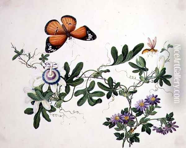 Passion Flower and Butterfly Oil Painting - Anonymous Artist