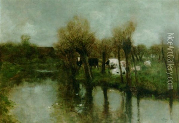 Cows Grazing By A River Oil Painting - Anton Mauve