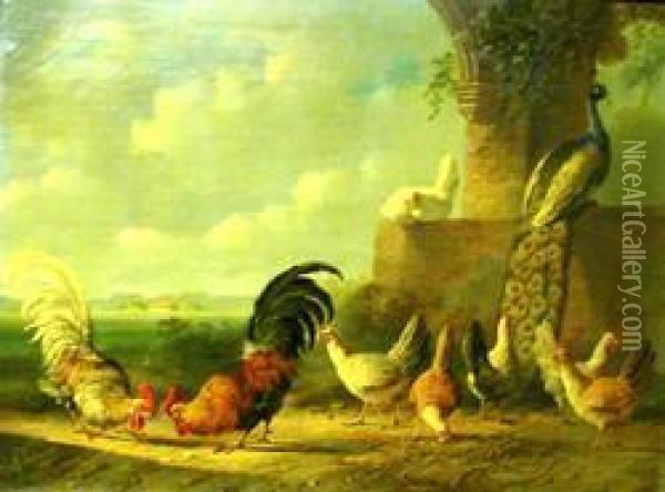 Poultry And A Peacock By A Ruined Wall And Arch Oil Painting - Albertus Verhoesen