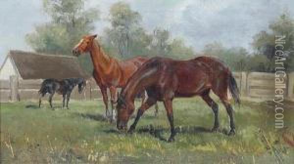Black, Bay And Light Bay Horses In A Paddock Oil Painting - August Von Meissl