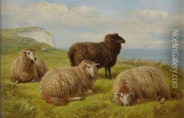Sheep Resting On A Cliff Edge, With Monogram And Dated '72, Also Verso Oil Painting - Charles Jones