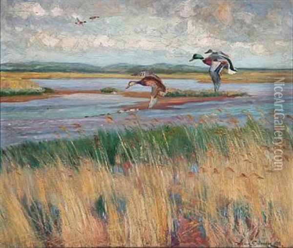 Landscape With Low-flying Mallards Oil Painting - William Gislander