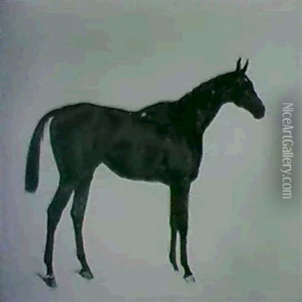 Portraits Of Bay Racehorses Oil Painting - Harry Hall