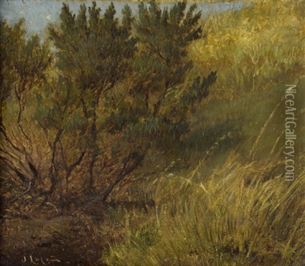 Studie Von Herbstlichen Grasern Und Baumen Oil Painting - Janus la Cour