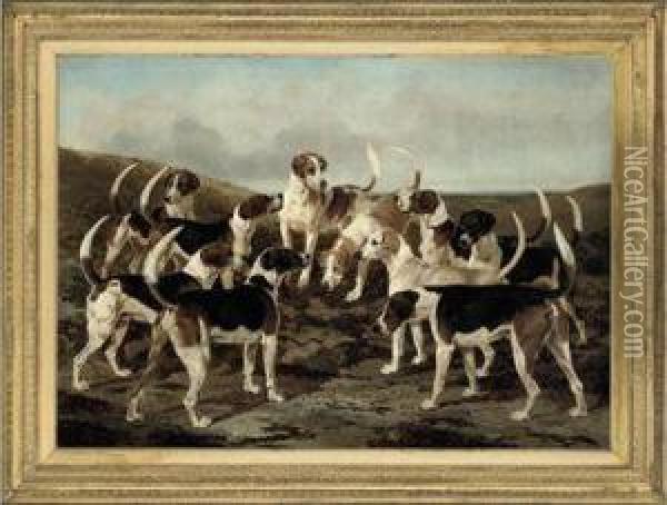 The Hounds From York & Ainsty Kennels Oil Painting - William Osborne