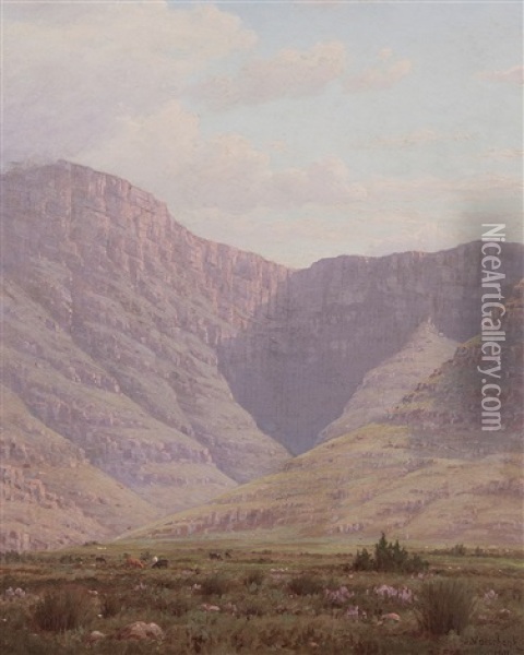 Crag And Kloof (riversdale, South Africa) Oil Painting - Jan Ernst Abraham Volschenk