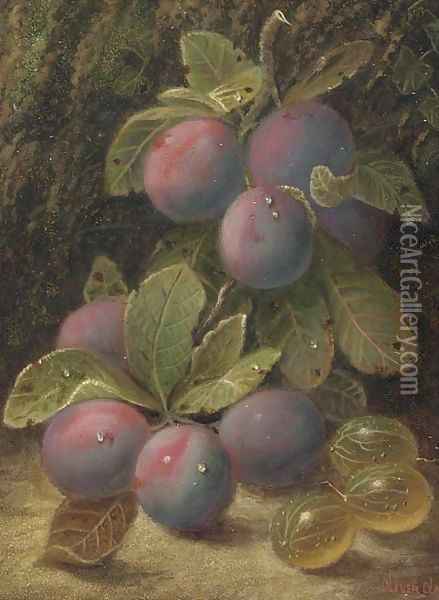 Plums and gooseberries on a mossy bank Oil Painting - Oliver Clare