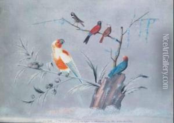 A) Uccelli Esotici Oil Painting - Carlo Antonio Raineri