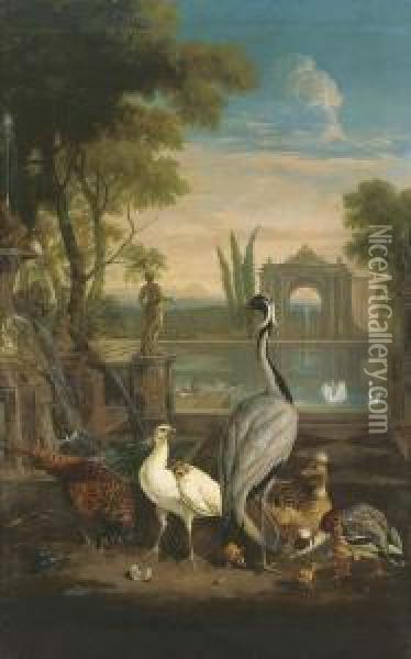 A Demoiselle Crane, A Pheasant, A
 Duck And Other Birds In An Italianate Garden With A Lake Oil Painting - Pieter Casteels