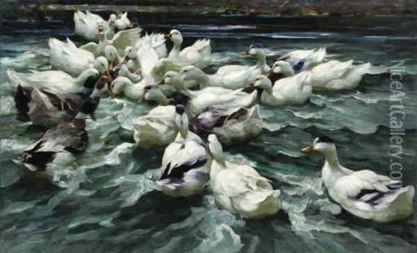 Ducks In A Pond Oil Painting - Alexander Max Koester