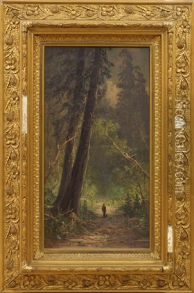 Near Glenwood, Santa Cruz Mountains Oil Painting - Frederick Ferdinand Schafer