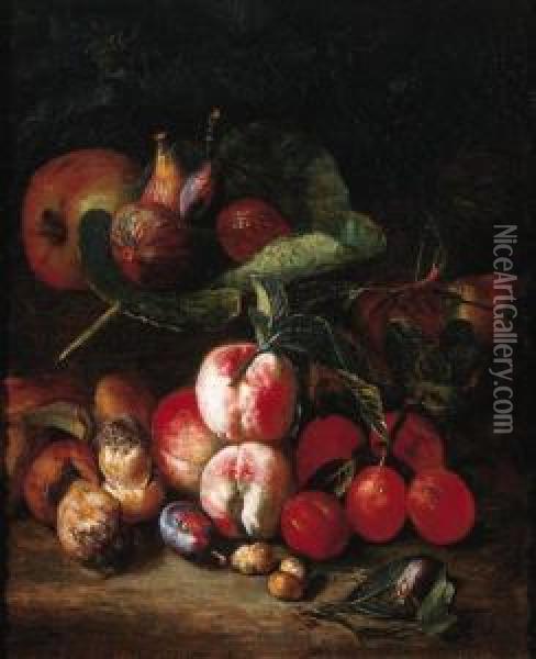 Peaches, Plums, Medlar Oil Painting - Pieter Snyers