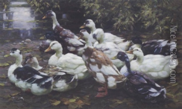 Entengruppe Am Ufer Eines Teiches Oil Painting - Alexander Max Koester