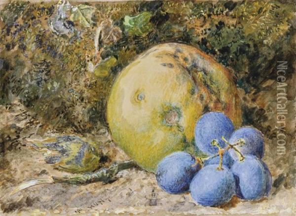 An Apple, Grapes And A Hazelnut On A Mossy Bank Oil Painting - William Henry Hunt