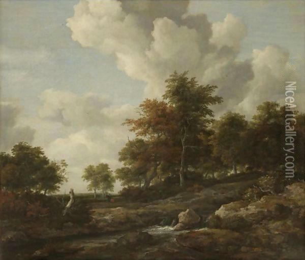 Wooded Landscape With A Rocky Stream Oil Painting - Jacob Van Ruisdael