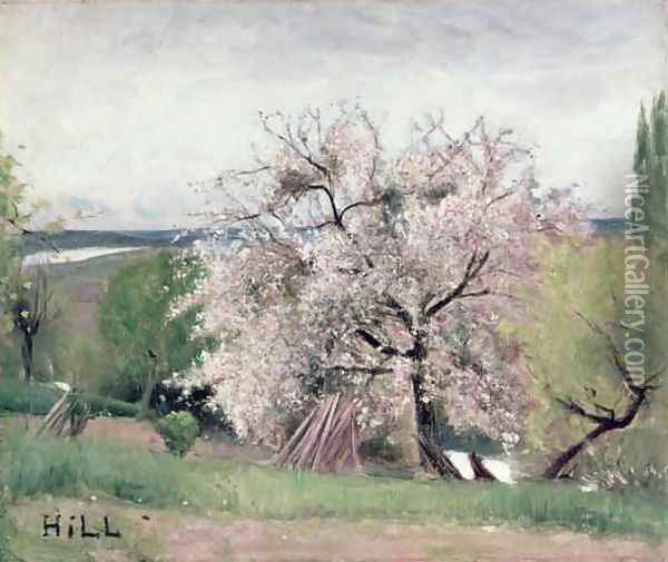 Fruit Tree in Blossom Bois le Roi Oil Painting - Carl Fredrik Hill