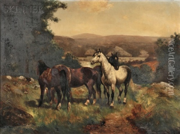 Horses Oil Painting - Scott Leighton
