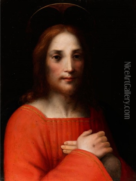 Christus Mit Den Wundmalen Oil Painting - Domenico Puligo