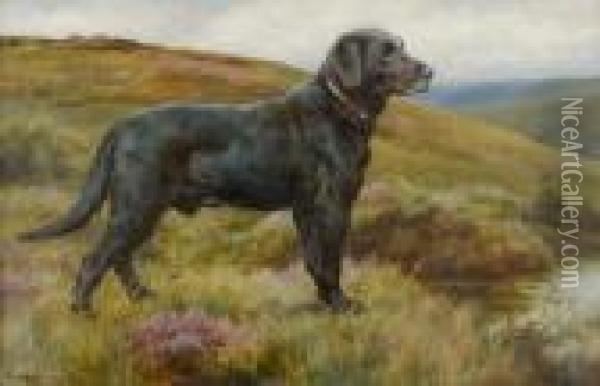 Old Bridge Bob; A Black Labrador Retriever Oil Painting - Herbert Thomas Dicksee