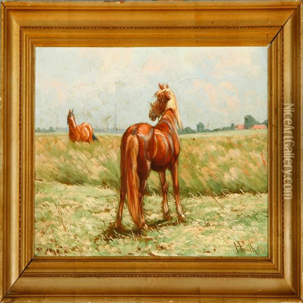 Horses On A Field Oil Painting - Herman Frederik Funch