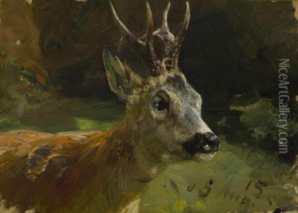 Rehbock. Oil Painting - Heinrich Johann Von Zugel