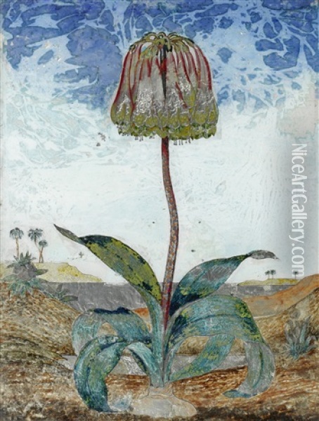 Exotic Flower Oil Painting - Dora Carrington