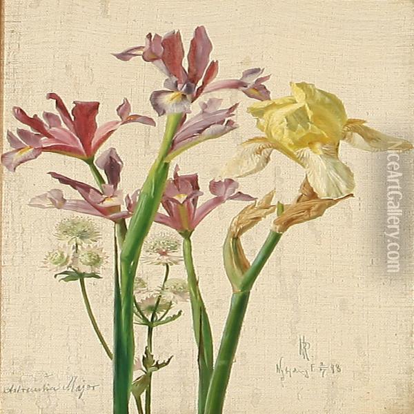 Iris And Astrantia Major Oil Painting - Niels Peter Rasmussen