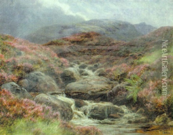 A Highland Burn, Invernesshire Oil Painting - James Faed the Younger