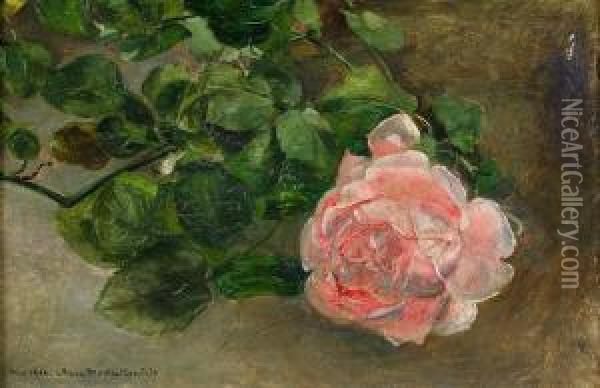 Rosa Ros Oil Painting - Anna Katharina Munthe-Norstedt