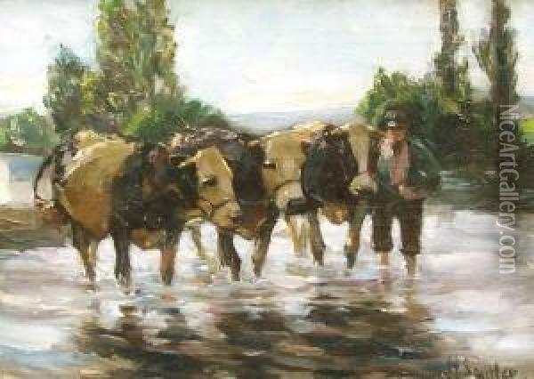 Drei Kuhe Und Hutebub An Der Tranke Oil Painting - Hermann Sattler