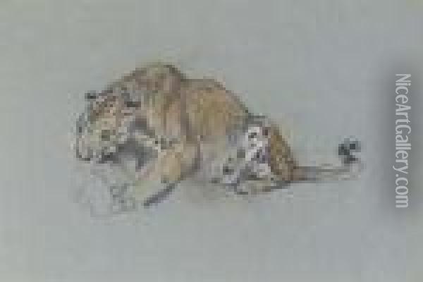 A Leopard Devouring His Prey Oil Painting - Arthur Wardle