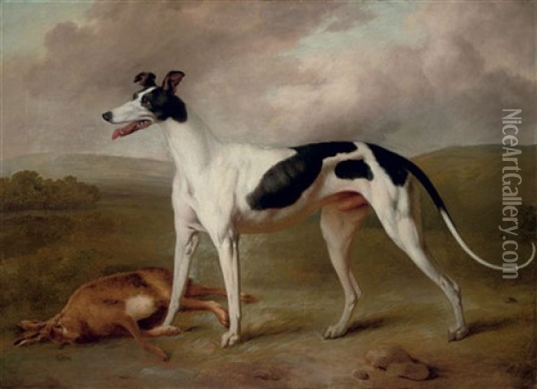 A Prize Greyhound In An Extensive Landscape Oil Painting - Philipp Reinagle
