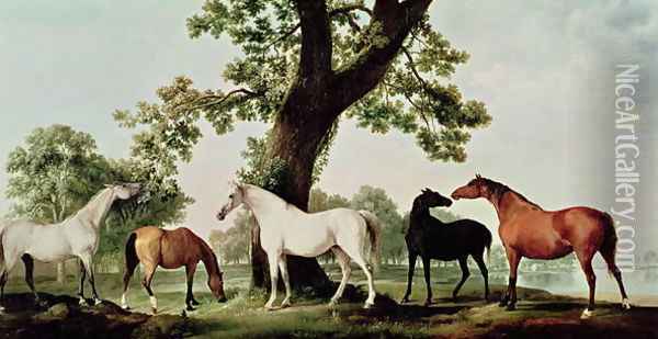 Mares by an Oak Tree Oil Painting - George Stubbs
