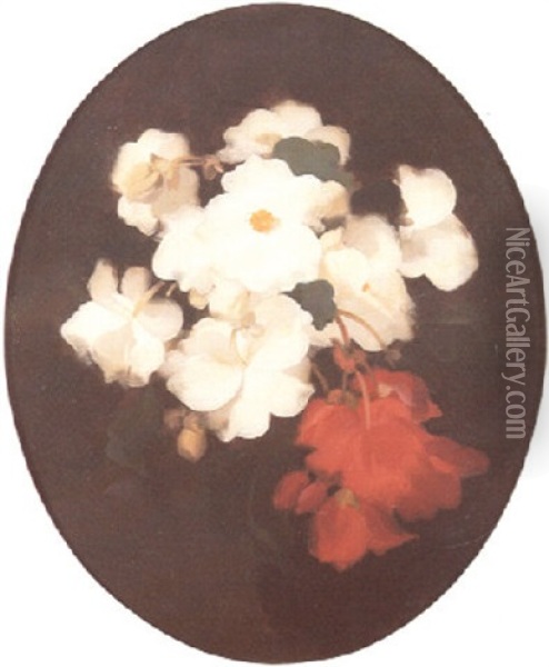 A Still Life With Red And White Begonias Oil Painting - Stuart James Park