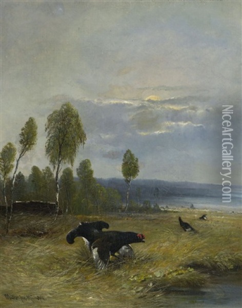 Birkhahnbalz Im Moor Oil Painting - Moritz Mueller the Younger