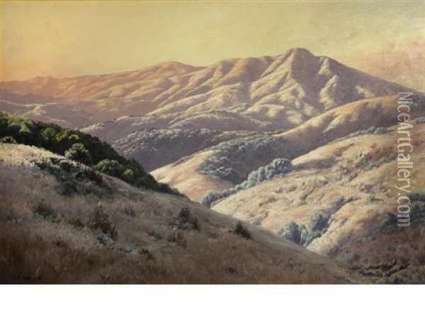 Mount Tamalpais From Near Mill Valley, Marin County, California Oil Painting - Louis Edward Rea