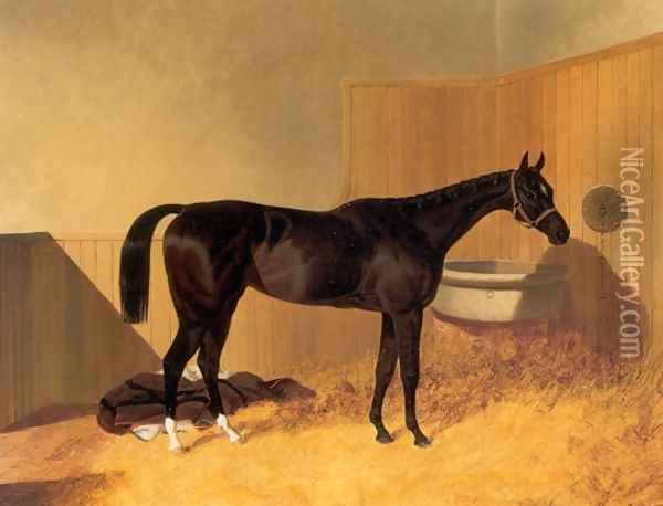 Inheritress a Racehorse 1846 Oil Painting - John Frederick Herring Snr