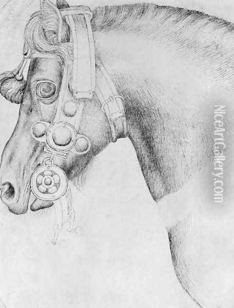 Head of a horse, from the The Vallardi Album 2 Oil Painting - Antonio Pisano (Pisanello)