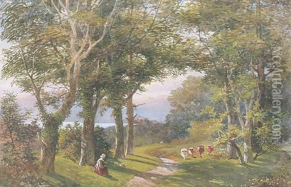 Cattle And A Figure On A Woodland Path Oil Painting - William Williams