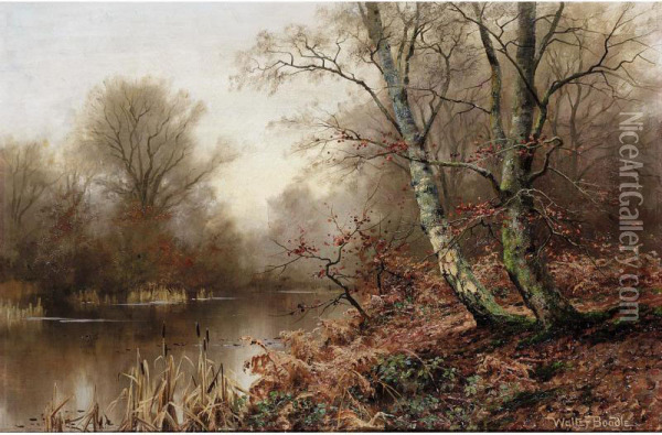 A Woodland Pond Oil Painting - Walter Boodle