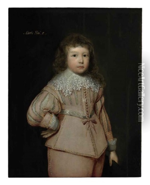 Portrait Of A Young Boy (lucius Cary, 3rd Viscount Falkland?) Oil Painting - Cornelis Jonson Van Ceulen