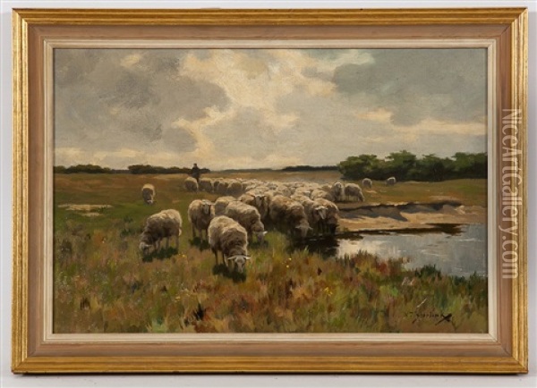 Sheep Grazing Oil Painting - Willem Steelink