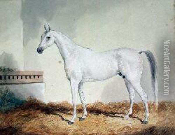 Study Of A White Stallion In A Stable Oil Painting - John Joseph Foncica
