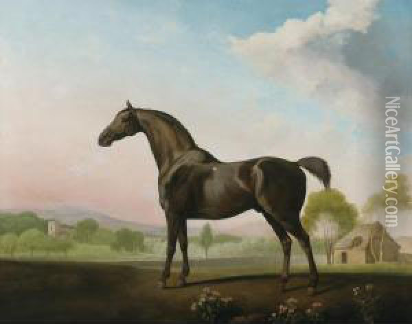Lord Grosvenor's Sweet William In A Landscape Oil Painting - George Stubbs