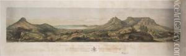 Panorama Of Cape Town Oil Painting - Thomas William Bowler